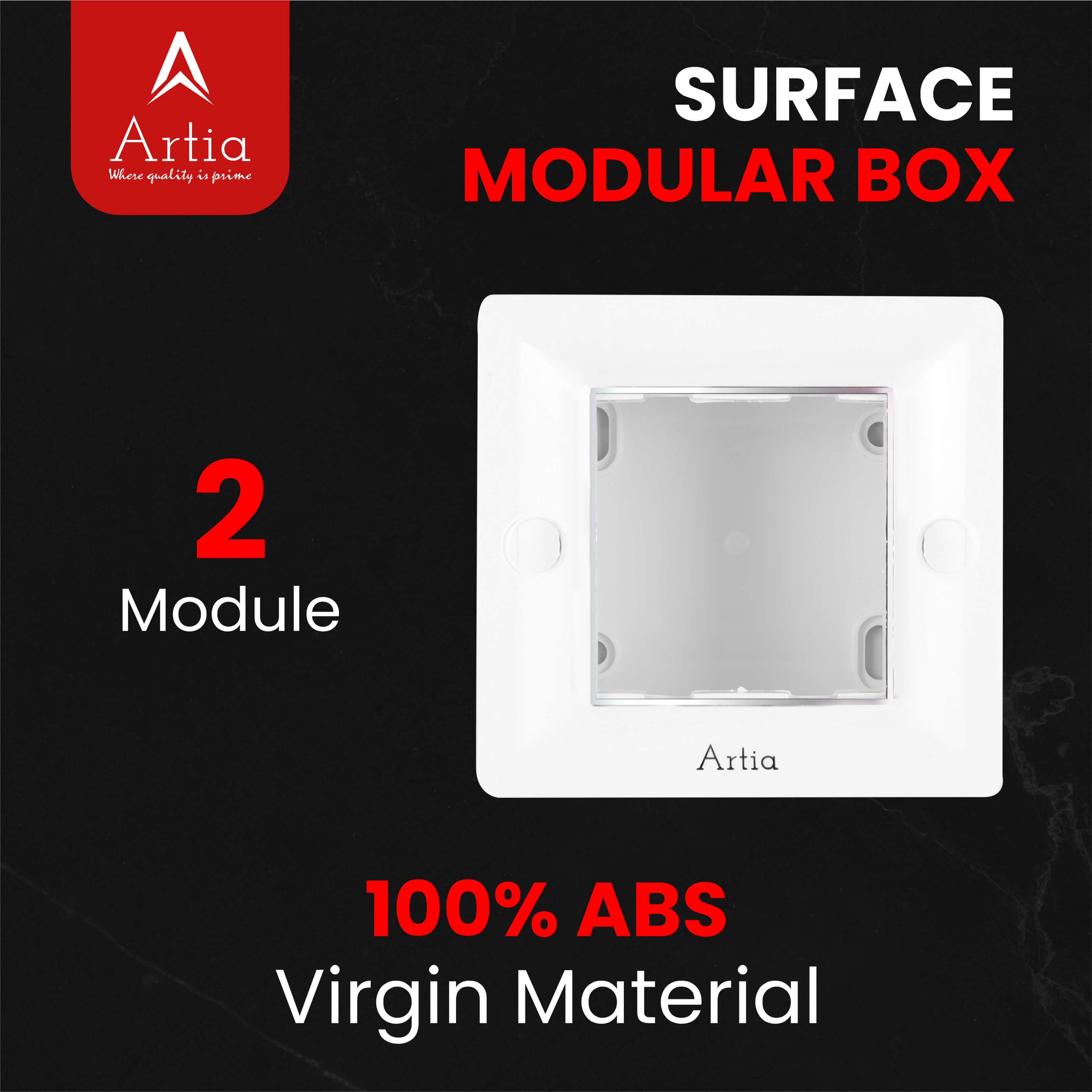 2 module surface gang box with silverline