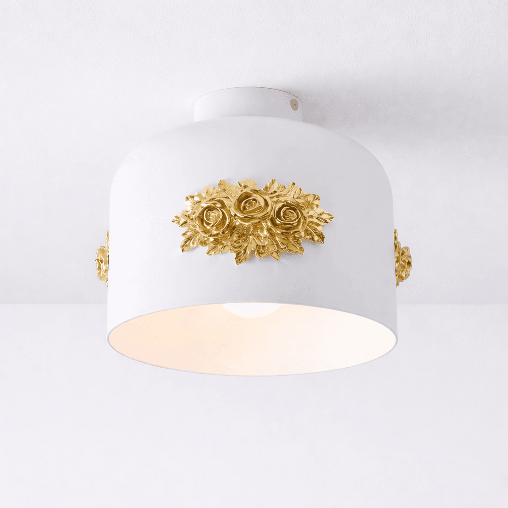 1002 co.ceiling light