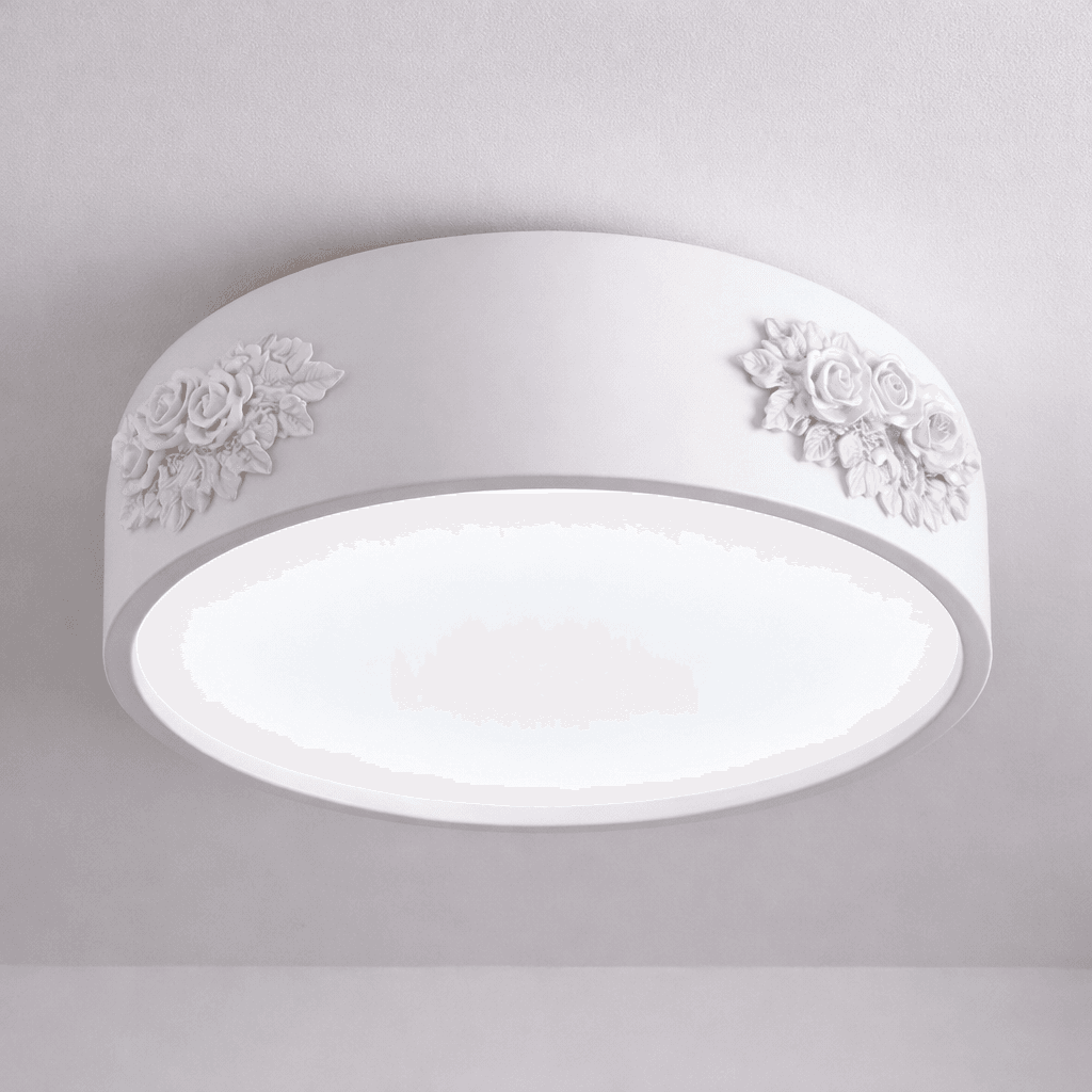1002-CL ceiling light