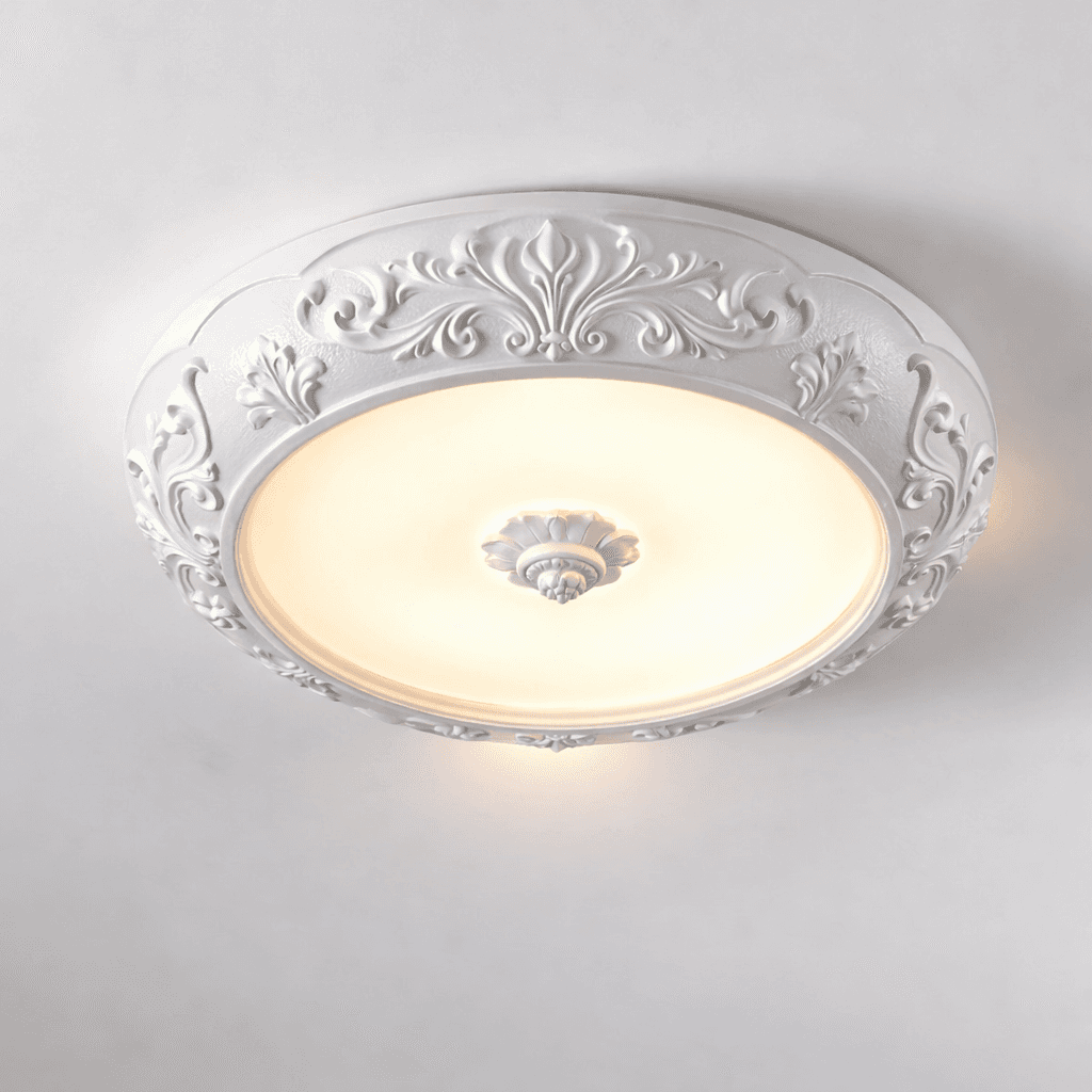 1012-ceiling light